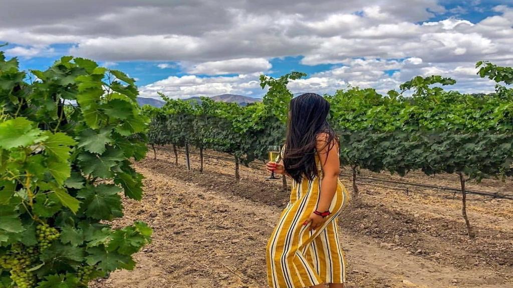 Wine Route in Queretaro Private Tour - Image 2